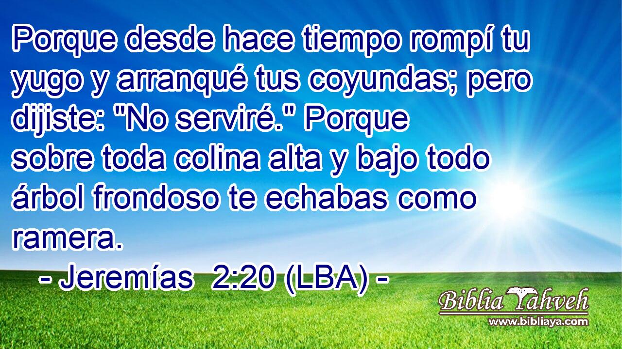 Porque desde hace tiempo rompí tu yugo y arranqué tus coyundas; pero dijiste: 