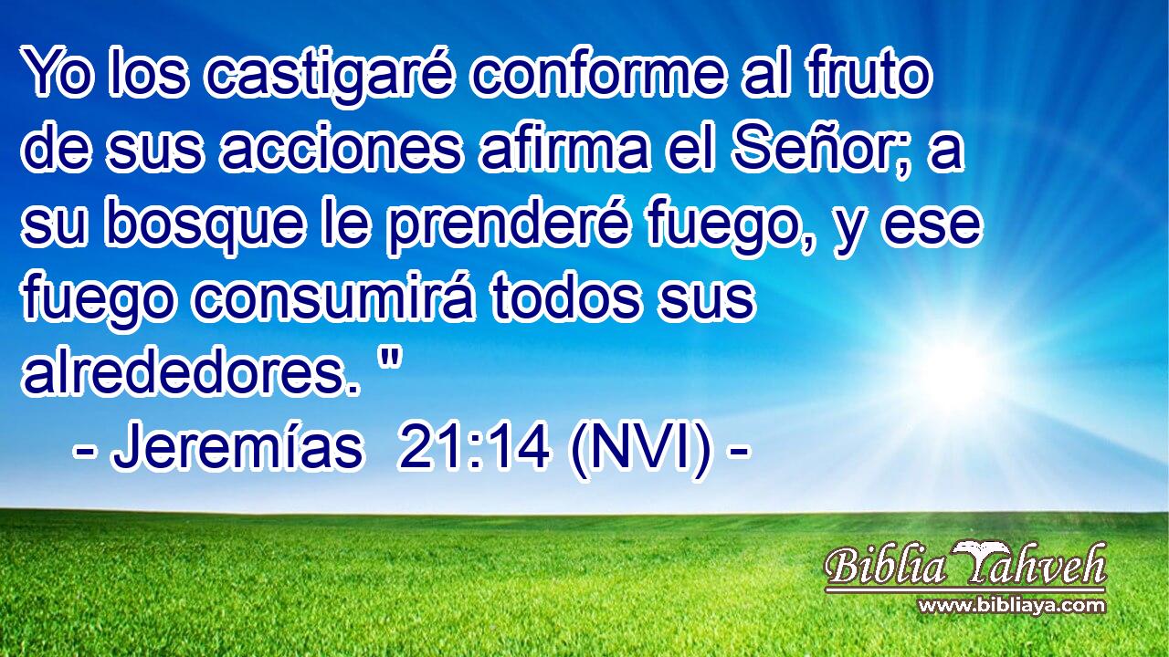  Yo los castigaré conforme al fruto de sus acciones afirma el Señor; a su bosque le prenderé fuego, y ese fuego consumirá todos sus alrededores. 
