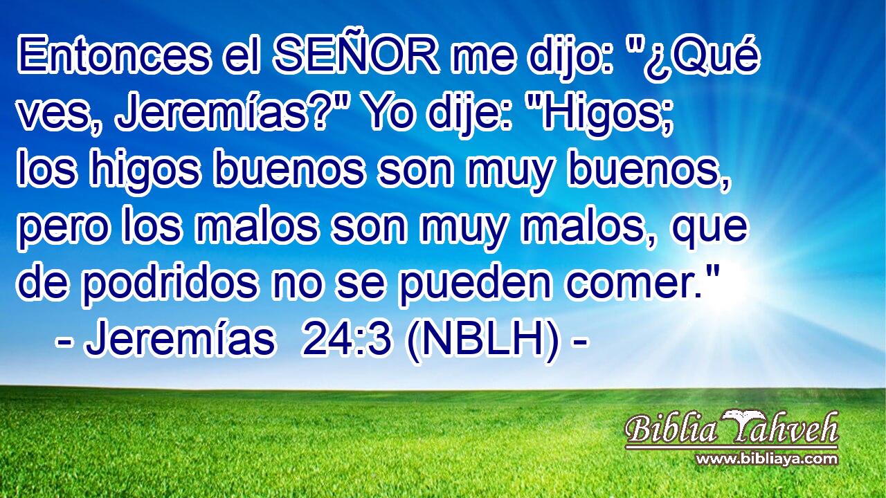  Entonces el SEÑOR me dijo: 