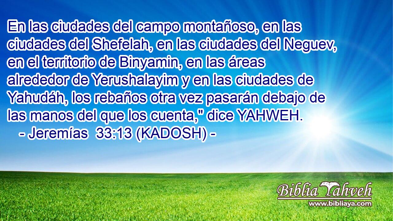  En las ciudades del campo montañoso, en las ciudades del Shefelah, en las ciudades del Neguev, en el territorio de Binyamin, en las áreas alrededor de Yerushalayim y en las ciudades de Yahudáh, los rebaños otra vez pasarán debajo de las manos del que los cuenta,