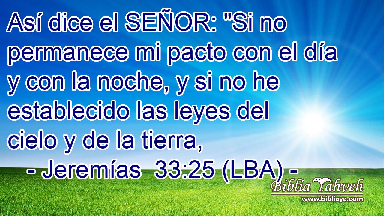 Así dice el SEÑOR: 