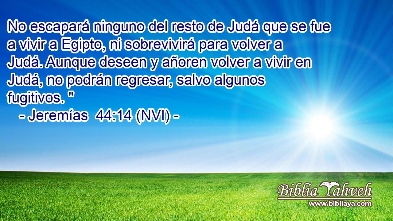  No escapará ninguno del resto de Judá que se fue a vivir a Egipto, ni sobrevivirá para volver a Judá. Aunque deseen y añoren volver a vivir en Judá, no podrán regresar, salvo algunos fugitivos. 