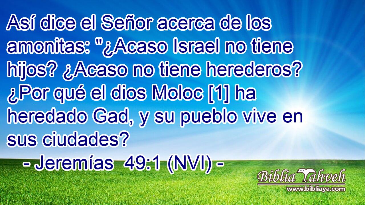  Así dice el Señor acerca de los amonitas: 