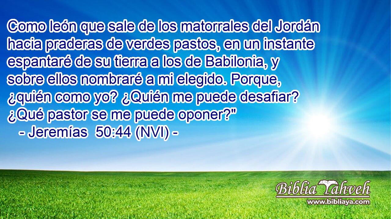  Como león que sale de los matorrales del Jordán hacia praderas de verdes pastos, en un instante espantaré de su tierra a los de Babilonia, y sobre ellos nombraré a mi elegido. Porque, ¿quién como yo? ¿Quién me puede desafiar? ¿Qué pastor se me puede oponer?