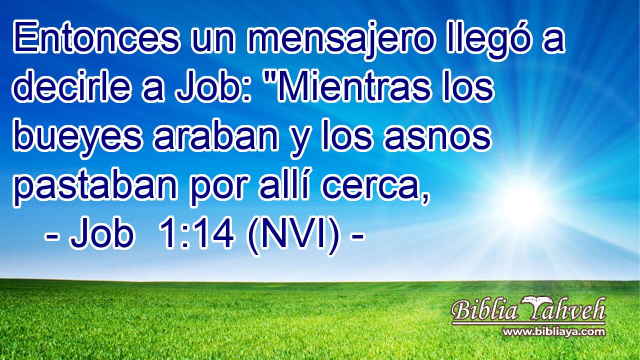  Entonces un mensajero llegó a decirle a Job: 