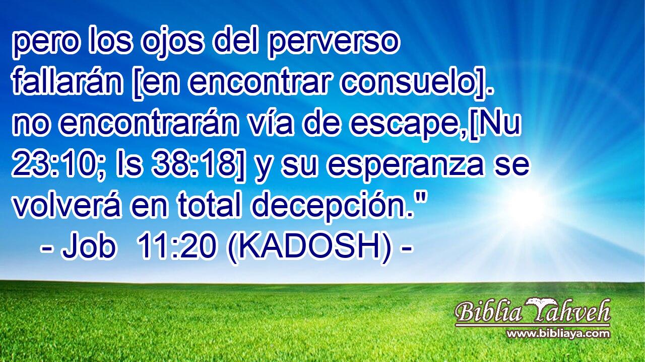  pero los ojos del perverso fallarán [en encontrar consuelo]. no encontrarán vía de escape,[Nu 23:10; Is 38:18] y su esperanza se volverá en total decepción.