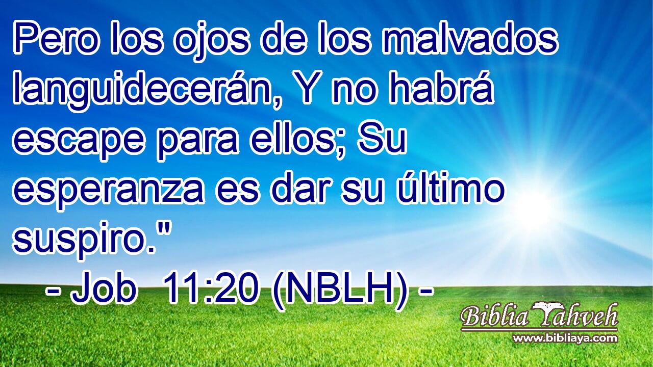  Pero los ojos de los malvados languidecerán, Y no habrá escape para ellos; Su esperanza es dar su último suspiro.
