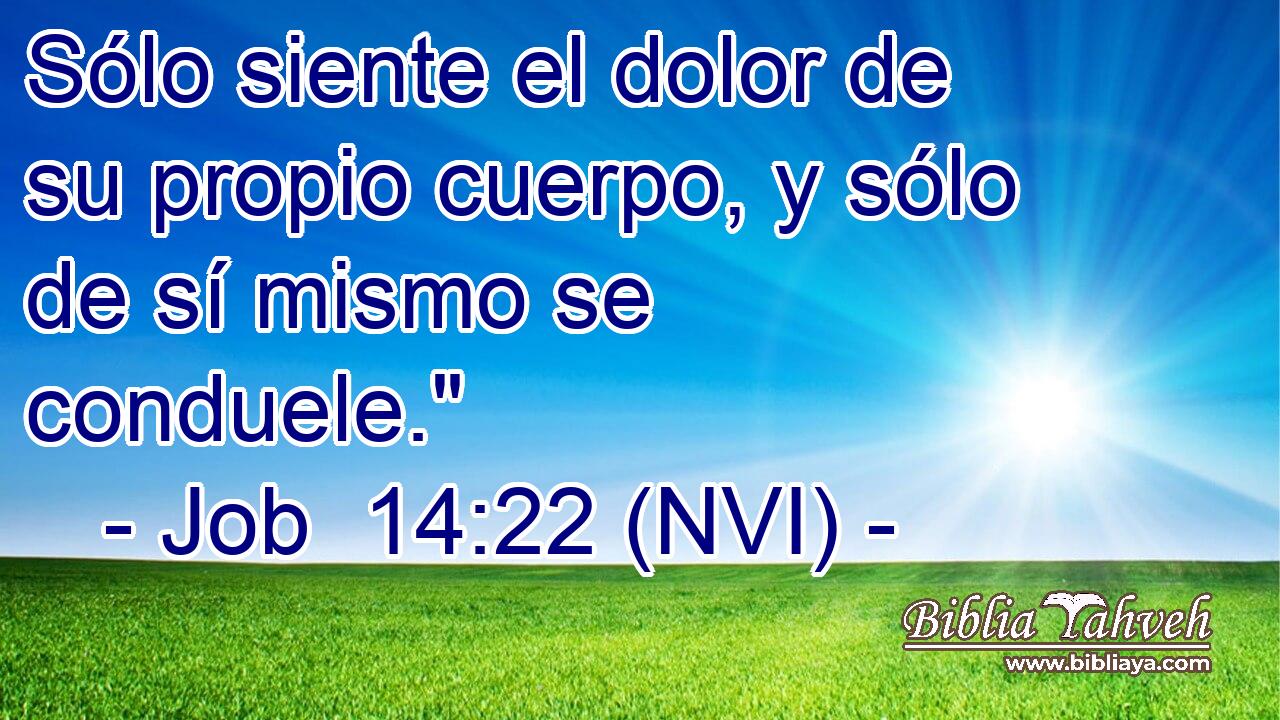  Sólo siente el dolor de su propio cuerpo, y sólo de sí mismo se conduele.