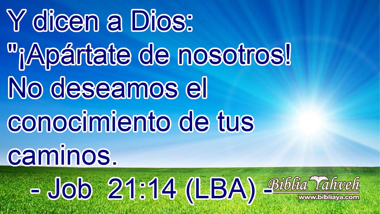 Y dicen a Dios: 