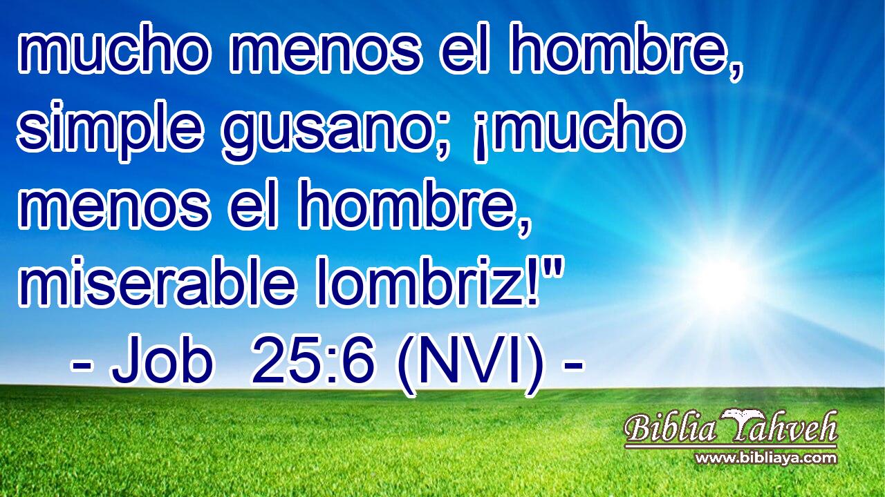  mucho menos el hombre, simple gusano; ¡mucho menos el hombre, miserable lombriz!