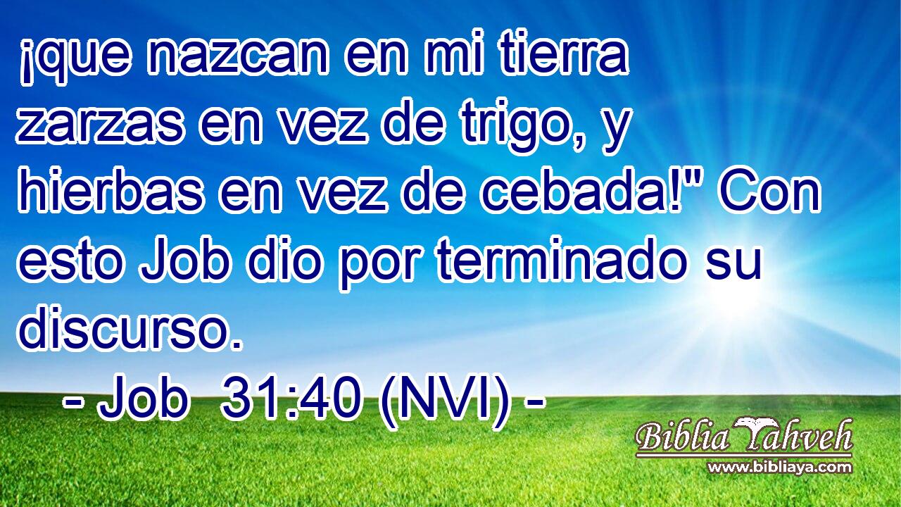  ¡que nazcan en mi tierra zarzas en vez de trigo, y hierbas en vez de cebada!