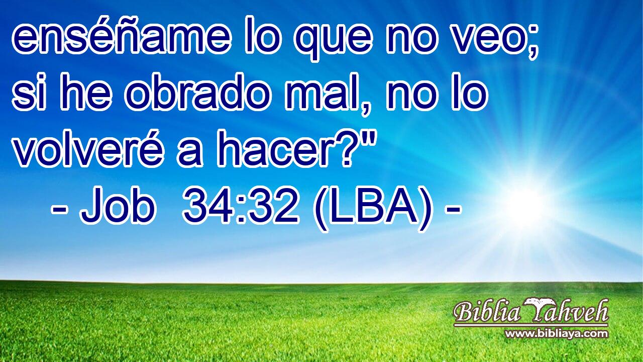 enséñame lo que no veo; si he obrado mal, no lo volveré a hacer?