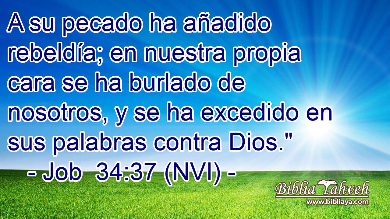  A su pecado ha añadido rebeldía; en nuestra propia cara se ha burlado de nosotros, y se ha excedido en sus palabras contra Dios.