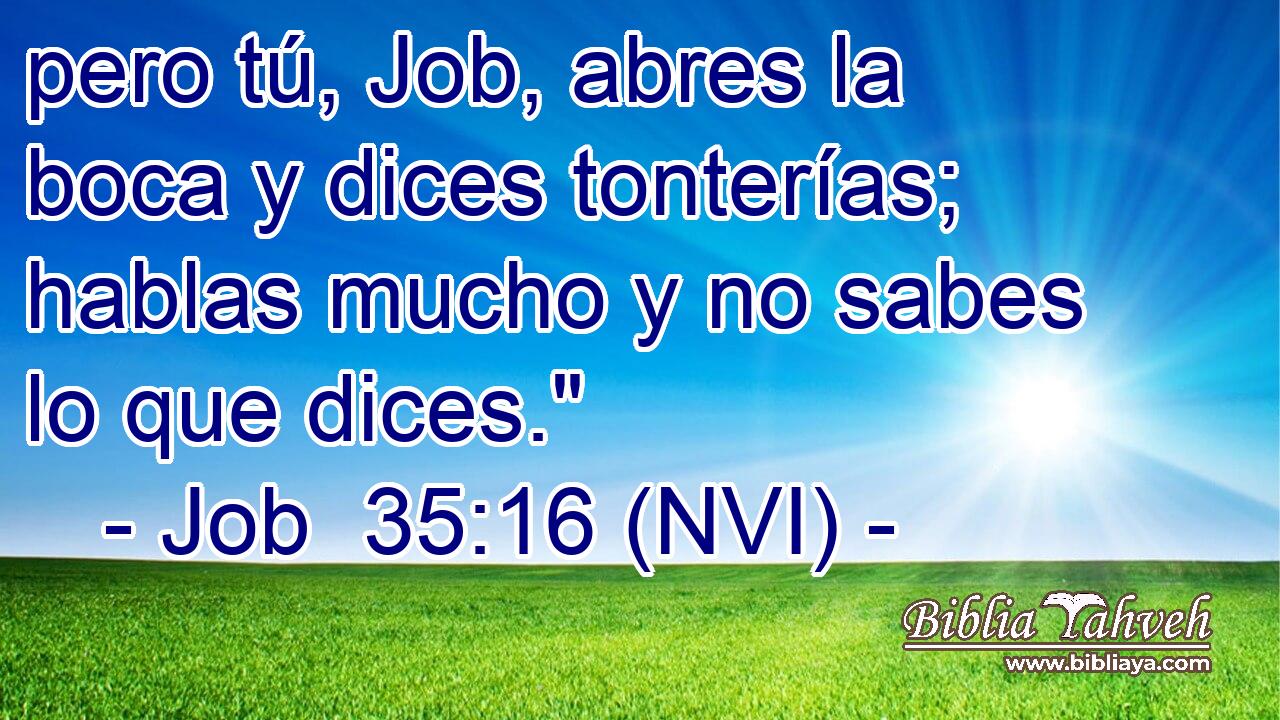  pero tú, Job, abres la boca y dices tonterías; hablas mucho y no sabes lo que dices.