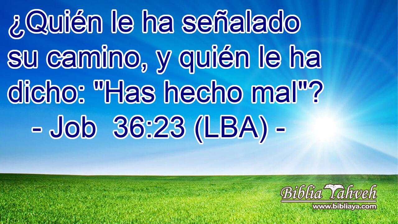 ¿Quién le ha señalado su camino, y quién le ha dicho: 