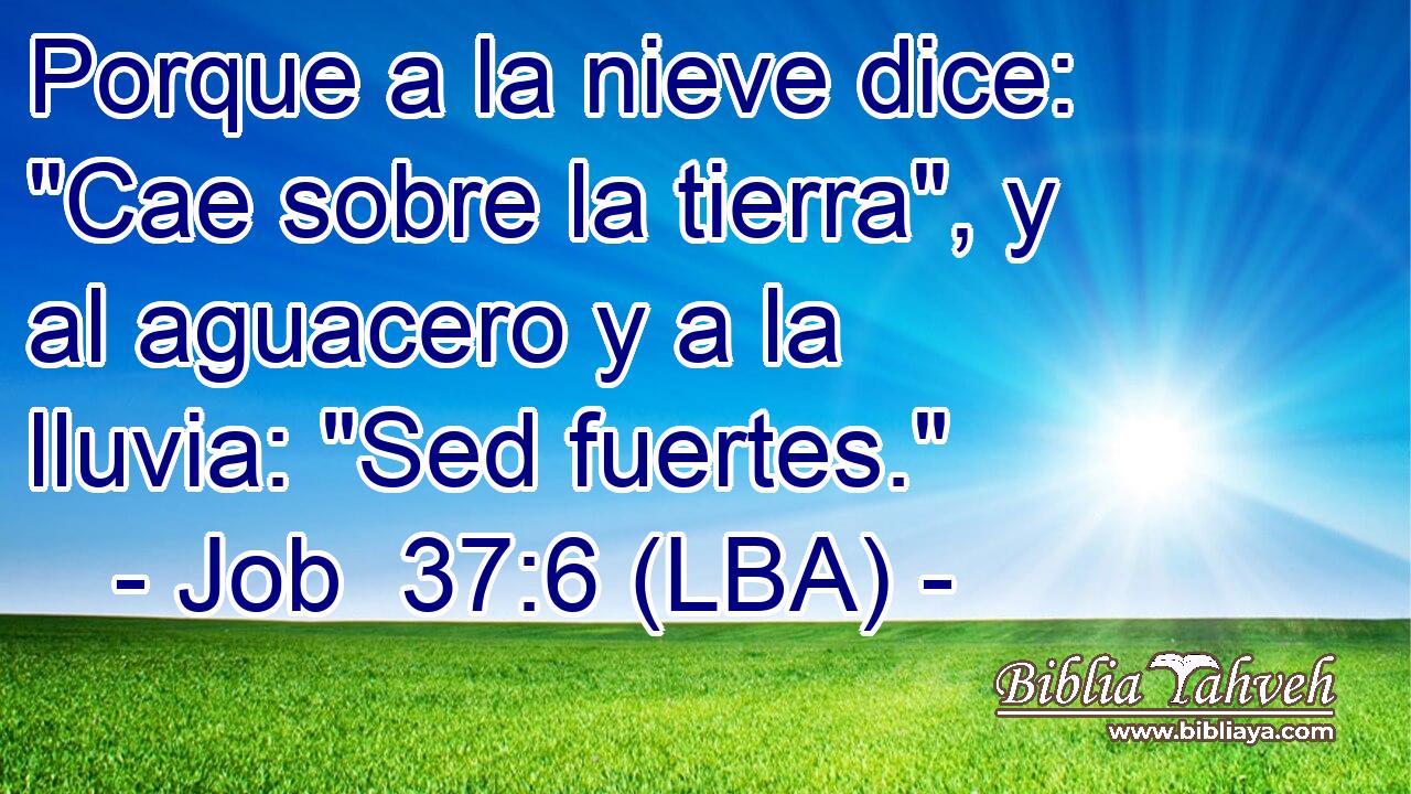 Porque a la nieve dice: 