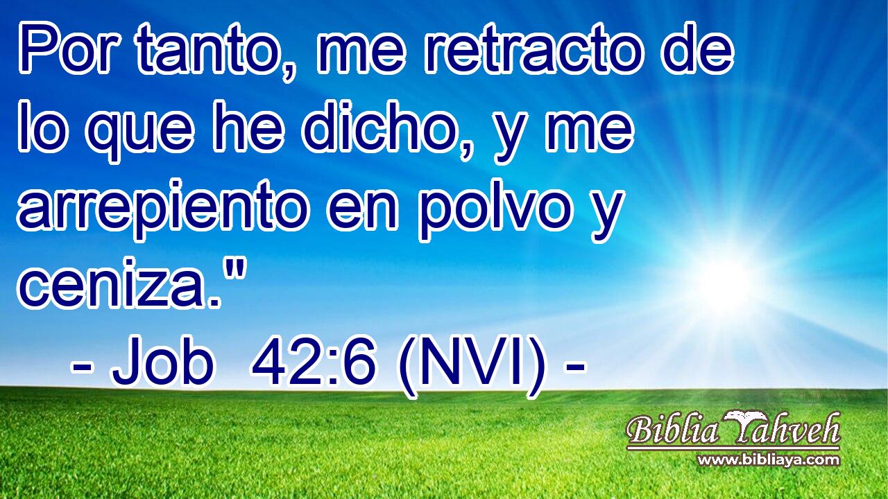  Por tanto, me retracto de lo que he dicho, y me arrepiento en polvo y ceniza.