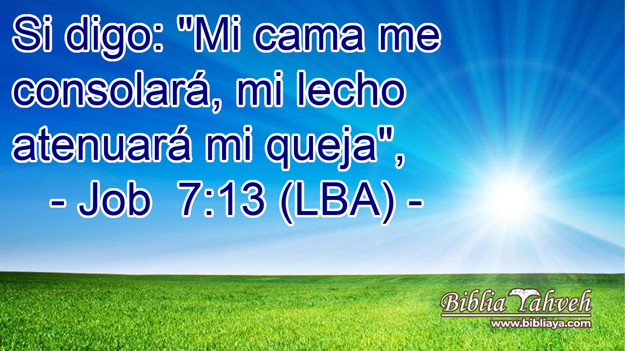 Si digo: 