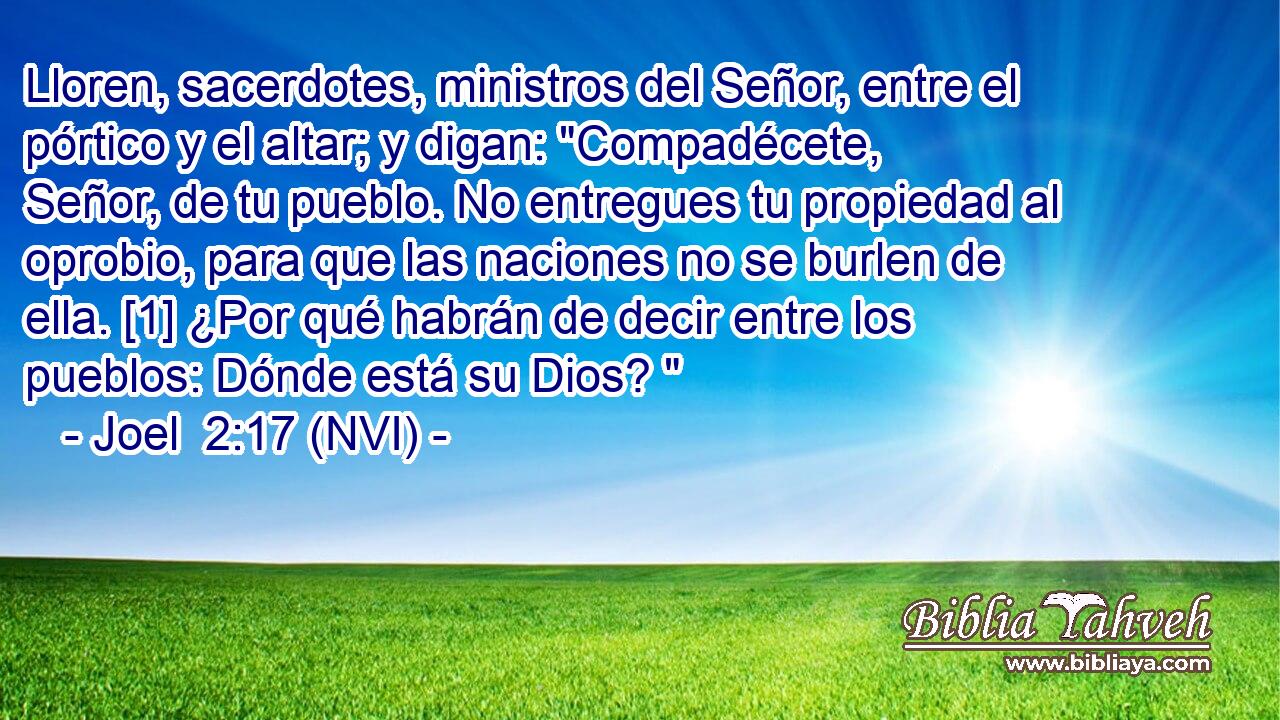  Lloren, sacerdotes, ministros del Señor, entre el pórtico y el altar; y digan: 