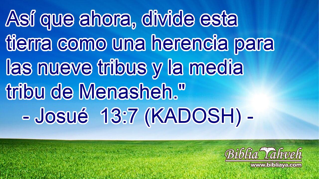  Así que ahora, divide esta tierra como una herencia para las nueve tribus y la media tribu de Menasheh.