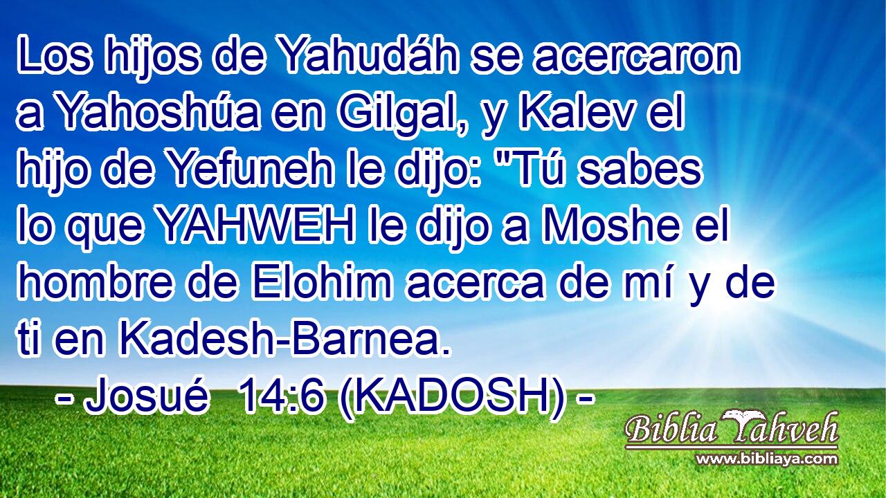  Los hijos de Yahudáh se acercaron a Yahoshúa en Gilgal, y Kalev el hijo de Yefuneh le dijo: 