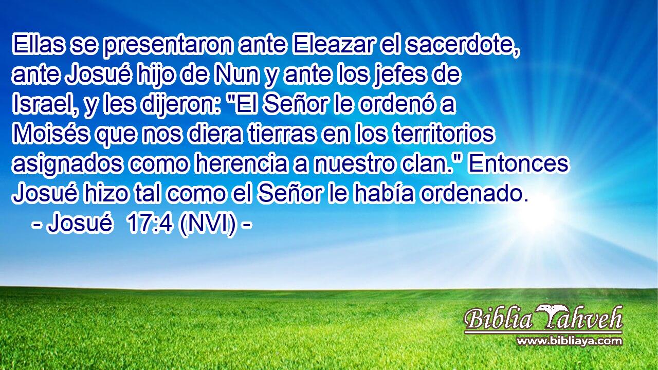  Ellas se presentaron ante Eleazar el sacerdote, ante Josué hijo de Nun y ante los jefes de Israel, y les dijeron: 