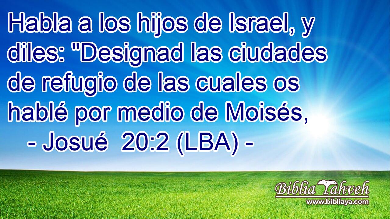 Habla a los hijos de Israel, y diles: 