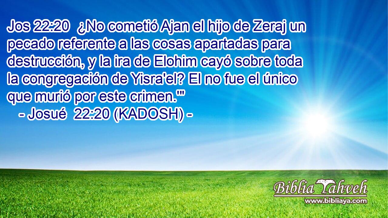  ¿No cometió Ajan el hijo de Zeraj un pecado referente a las cosas apartadas para destrucción, y la ira de Elohim cayó sobre toda la congregación de Yisra'el? El no fue el único que murió por este crimen.'