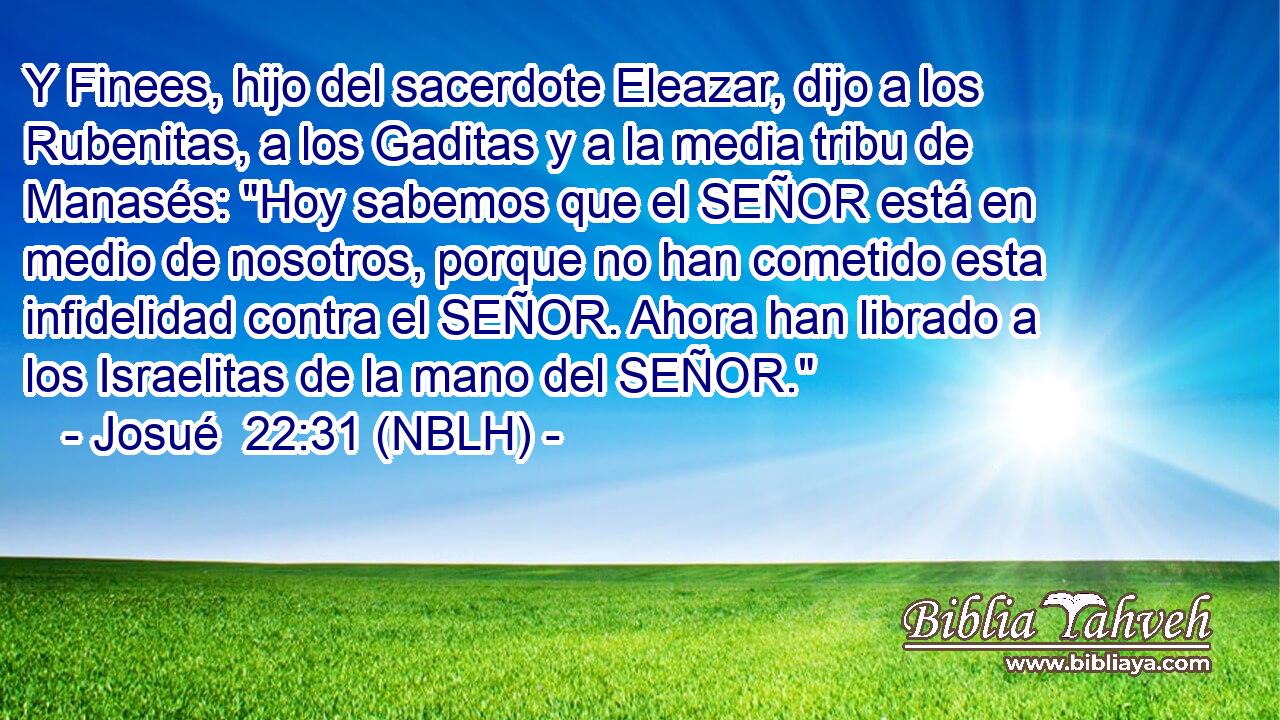  Y Finees, hijo del sacerdote Eleazar, dijo a los Rubenitas, a los Gaditas y a la media tribu de Manasés: 