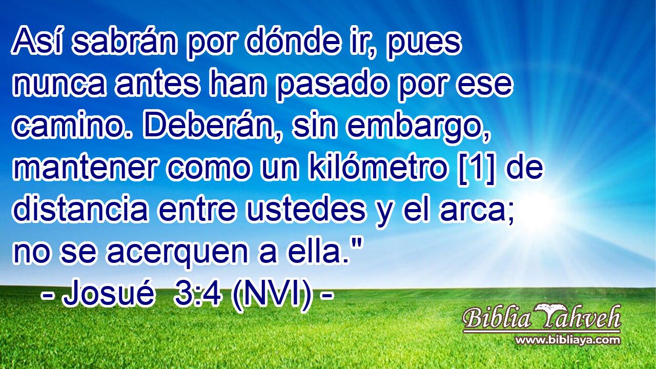  Así sabrán por dónde ir, pues nunca antes han pasado por ese camino. Deberán, sin embargo, mantener como un kilómetro [1] de distancia entre ustedes y el arca; no se acerquen a ella.