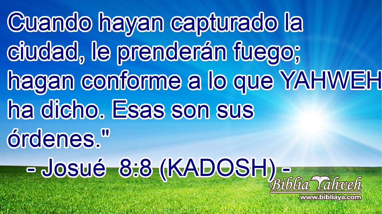 Cuando hayan capturado la ciudad, le prenderán fuego; hagan conforme a lo que YAHWEH ha dicho. Esas son sus órdenes.