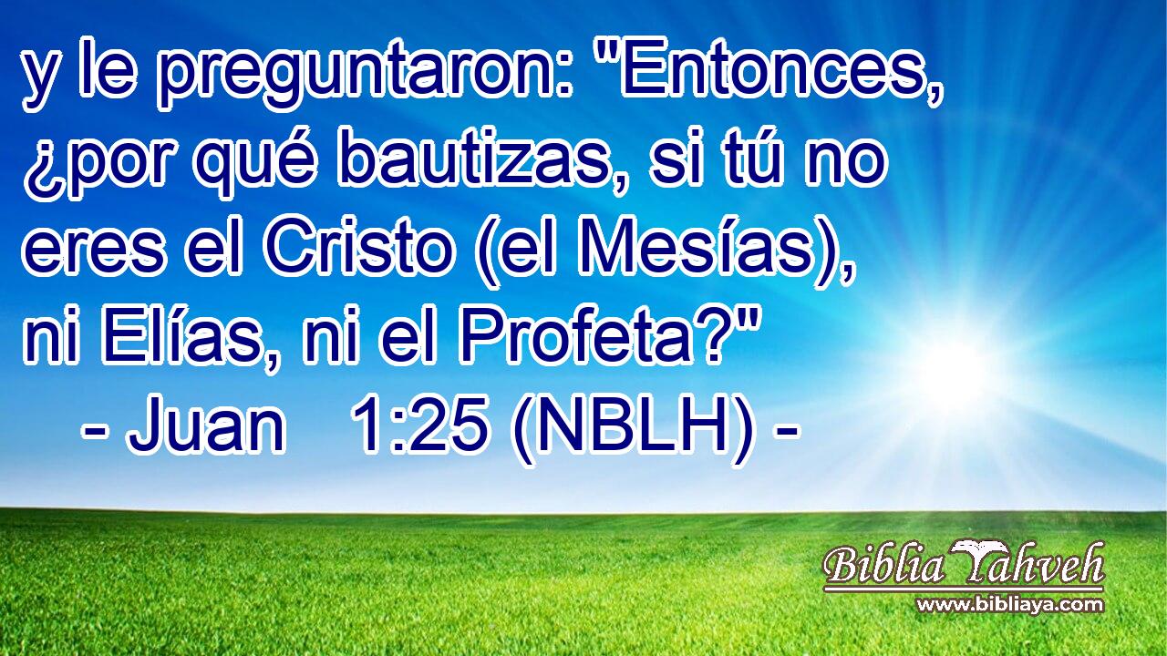  y le preguntaron: 
