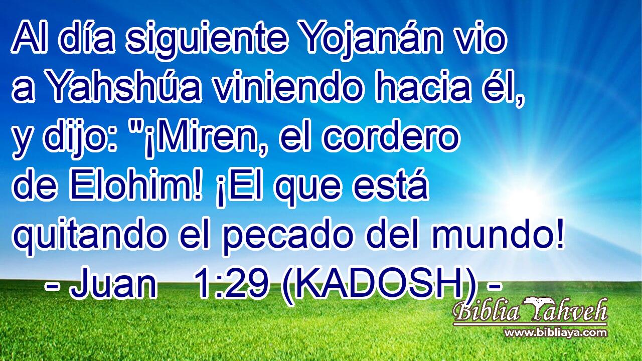  Al día siguiente Yojanán vio a Yahshúa viniendo hacia él, y dijo: 