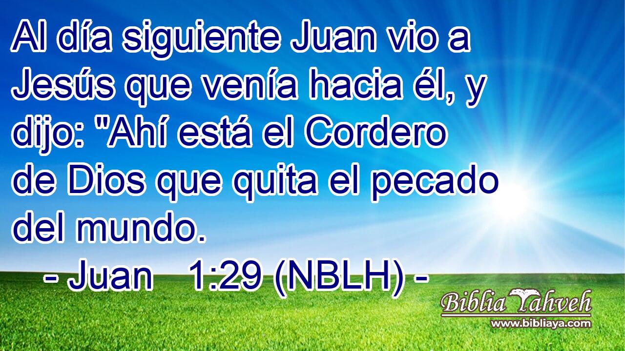  Al día siguiente Juan vio a Jesús que venía hacia él, y dijo: 