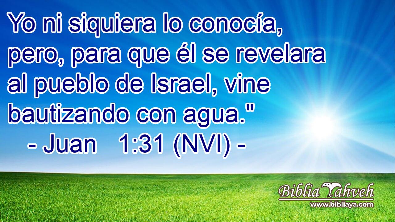  Yo ni siquiera lo conocía, pero, para que él se revelara al pueblo de Israel, vine bautizando con agua.