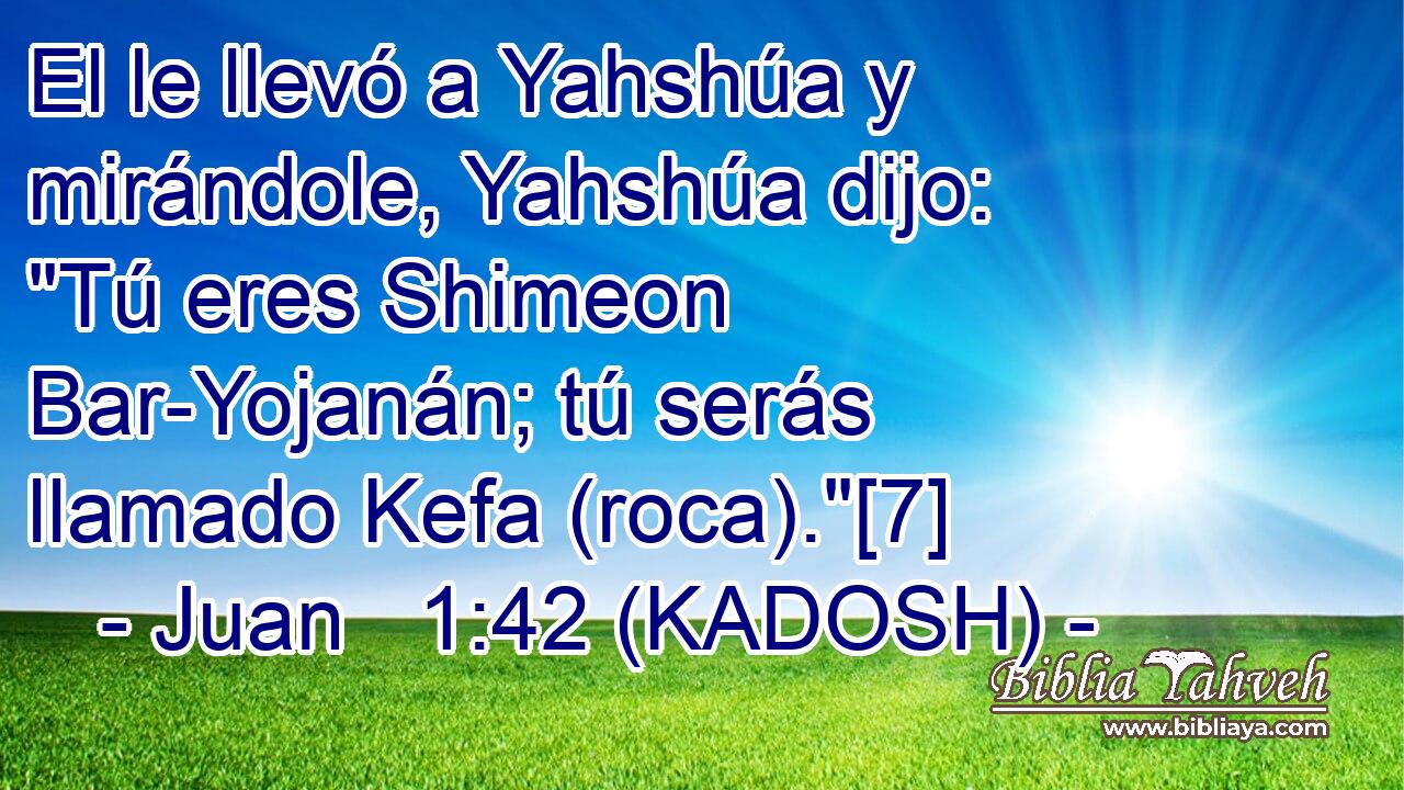  El le llevó a Yahshúa y mirándole, Yahshúa dijo: 