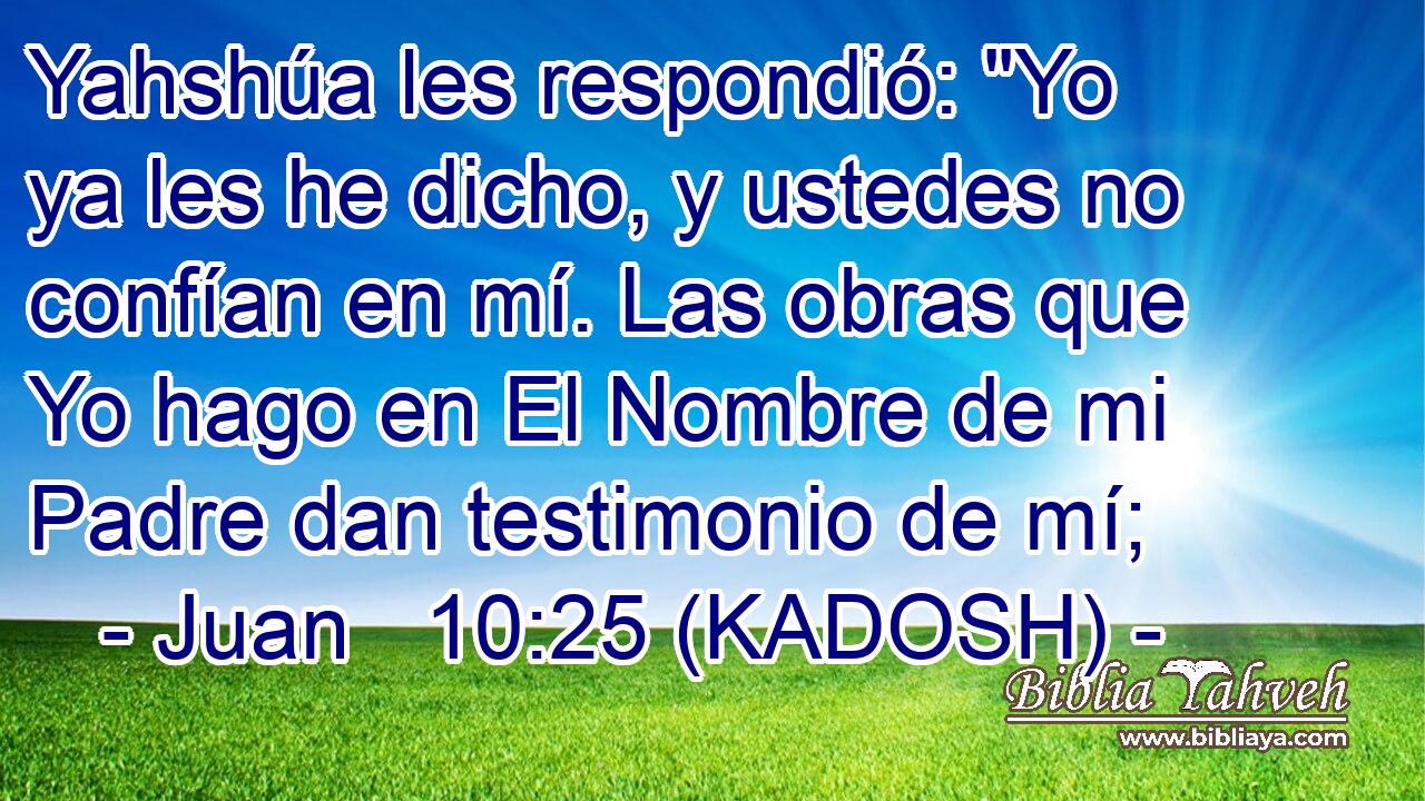  Yahshúa les respondió: 