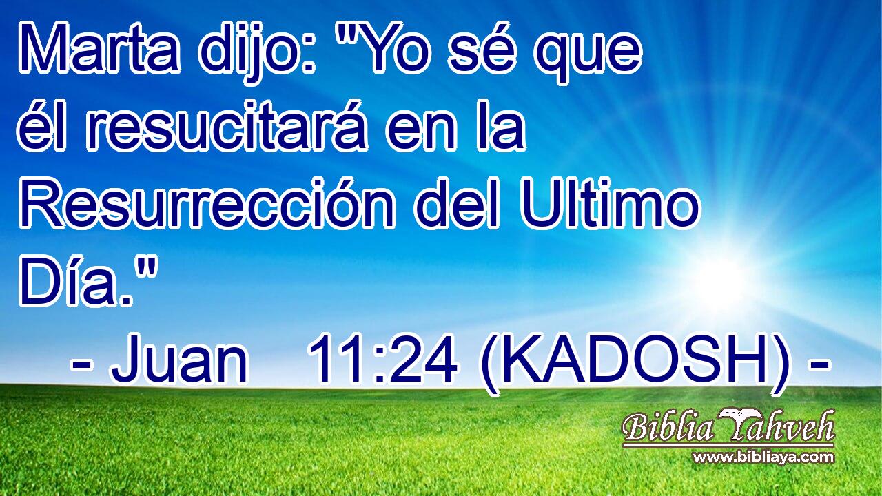  Marta dijo: 