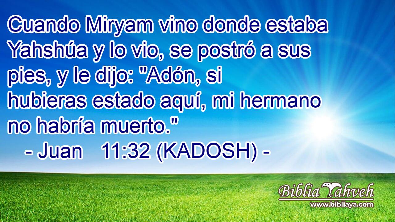  Cuando Miryam vino donde estaba Yahshúa y lo vio, se postró a sus pies, y le dijo: 