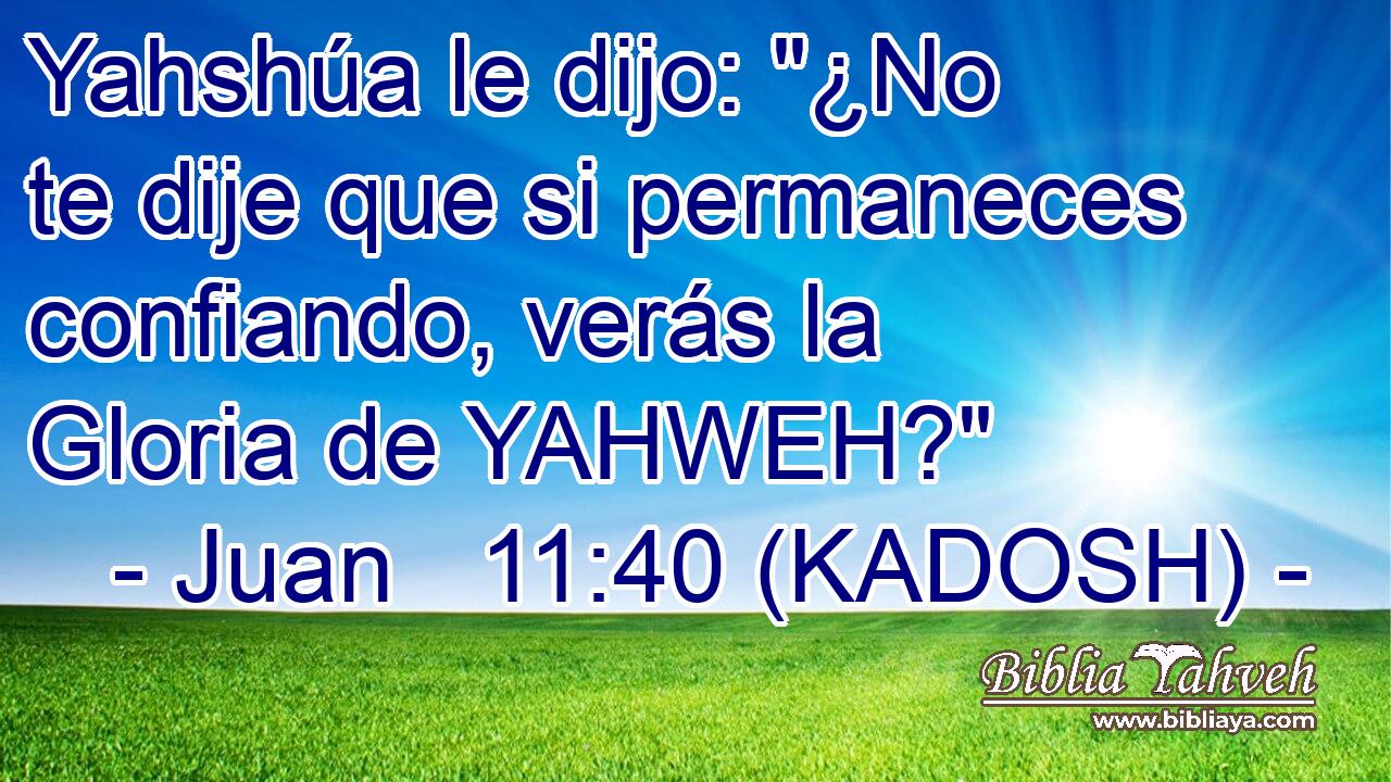  Yahshúa le dijo: 