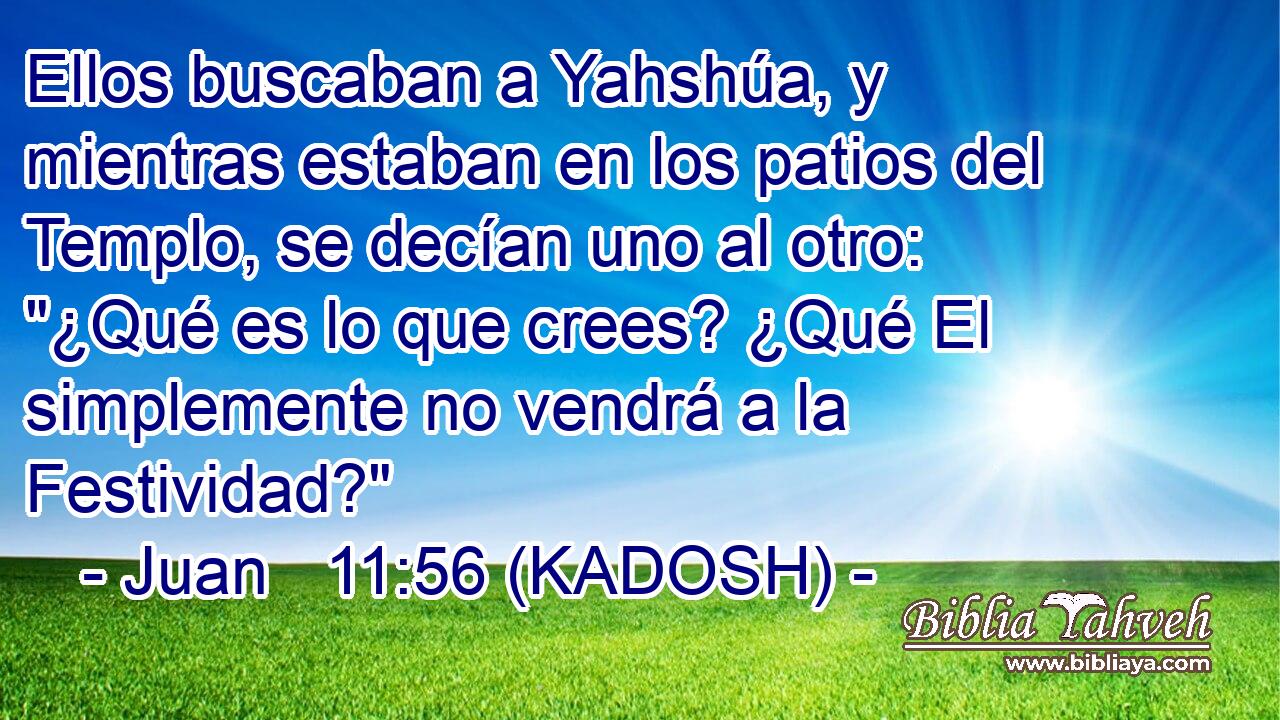  Ellos buscaban a Yahshúa, y mientras estaban en los patios del Templo, se decían uno al otro: 