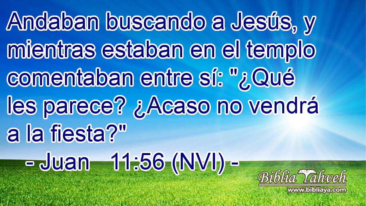  Andaban buscando a Jesús, y mientras estaban en el templo comentaban entre sí: 