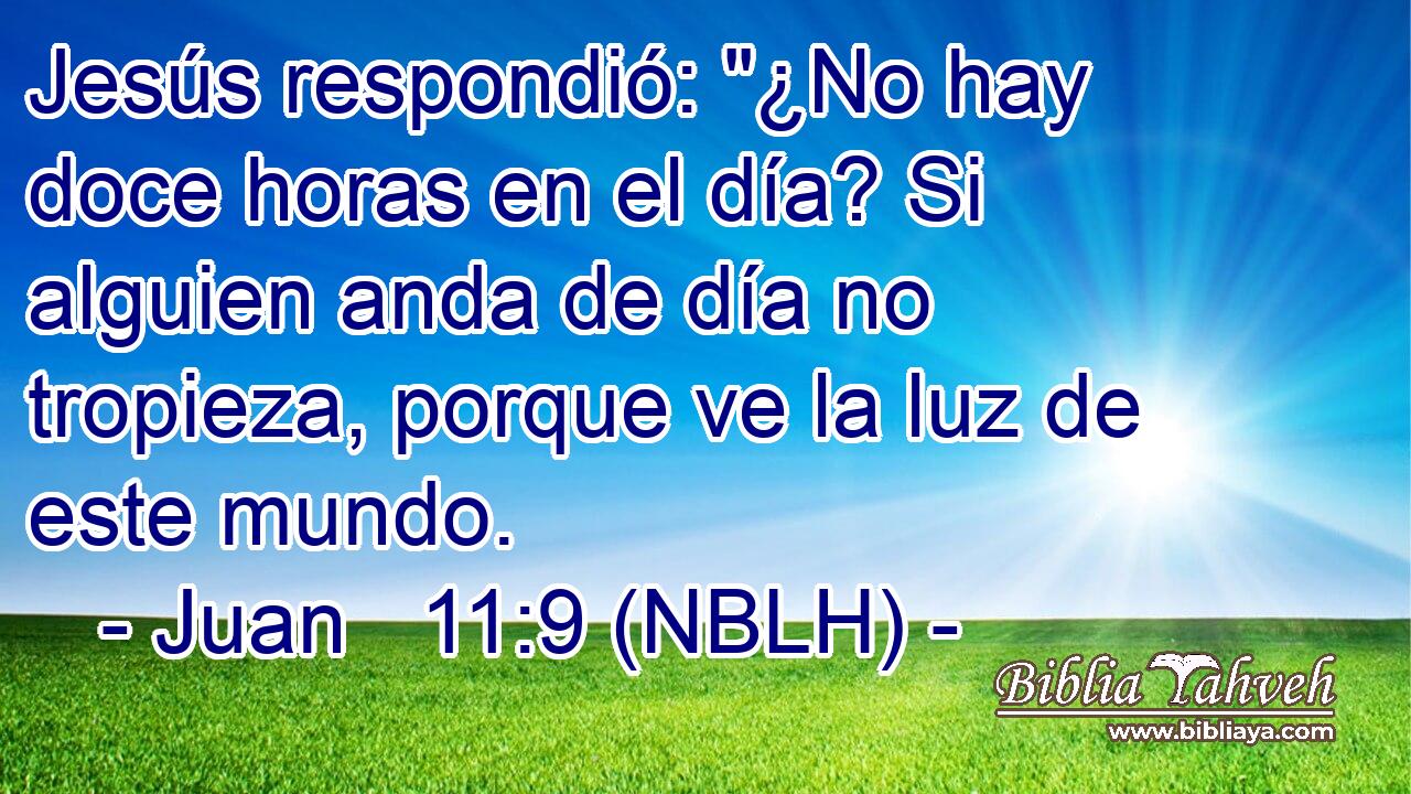  Jesús respondió: 