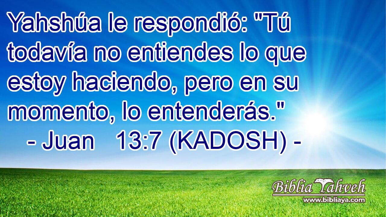  Yahshúa le respondió: 