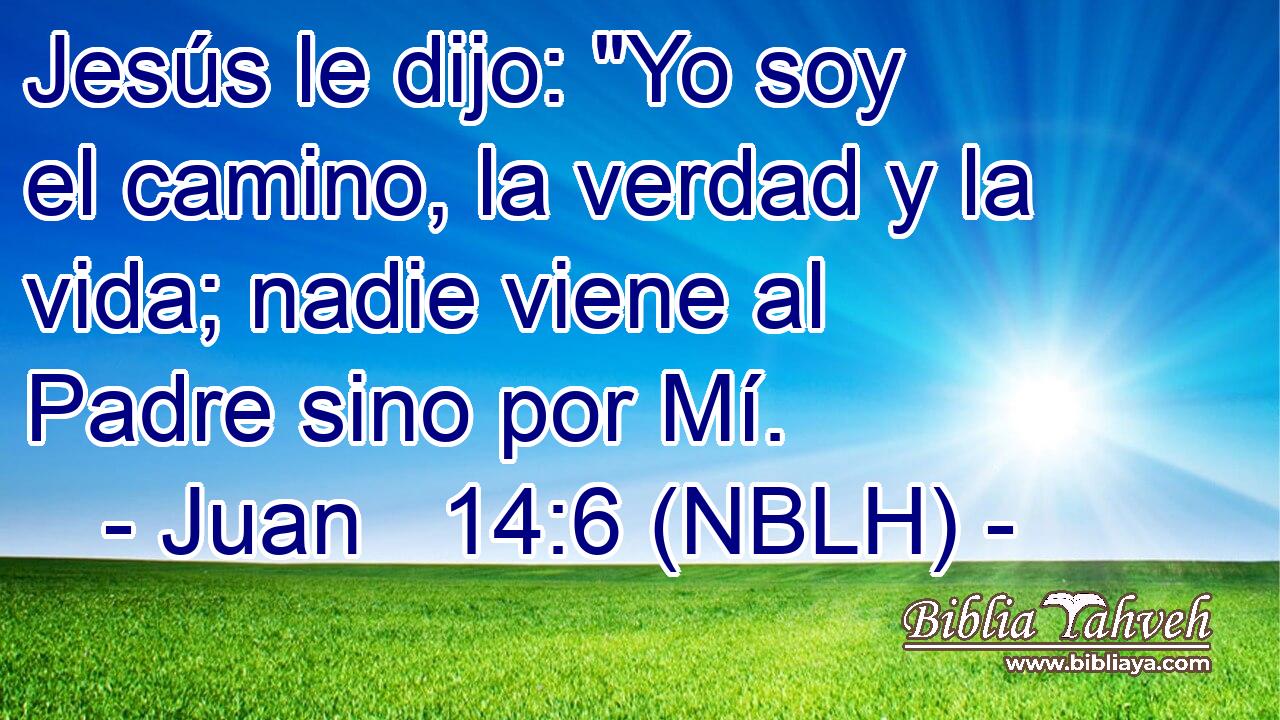  Jesús le dijo: 