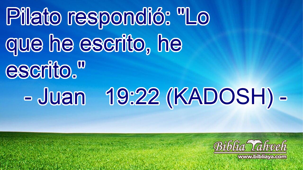  Pilato respondió: 