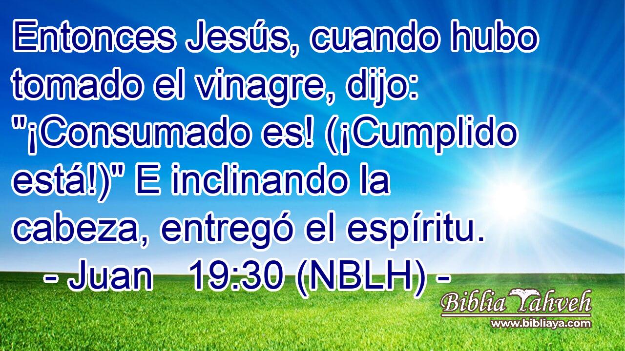  Entonces Jesús, cuando hubo tomado el vinagre, dijo: 