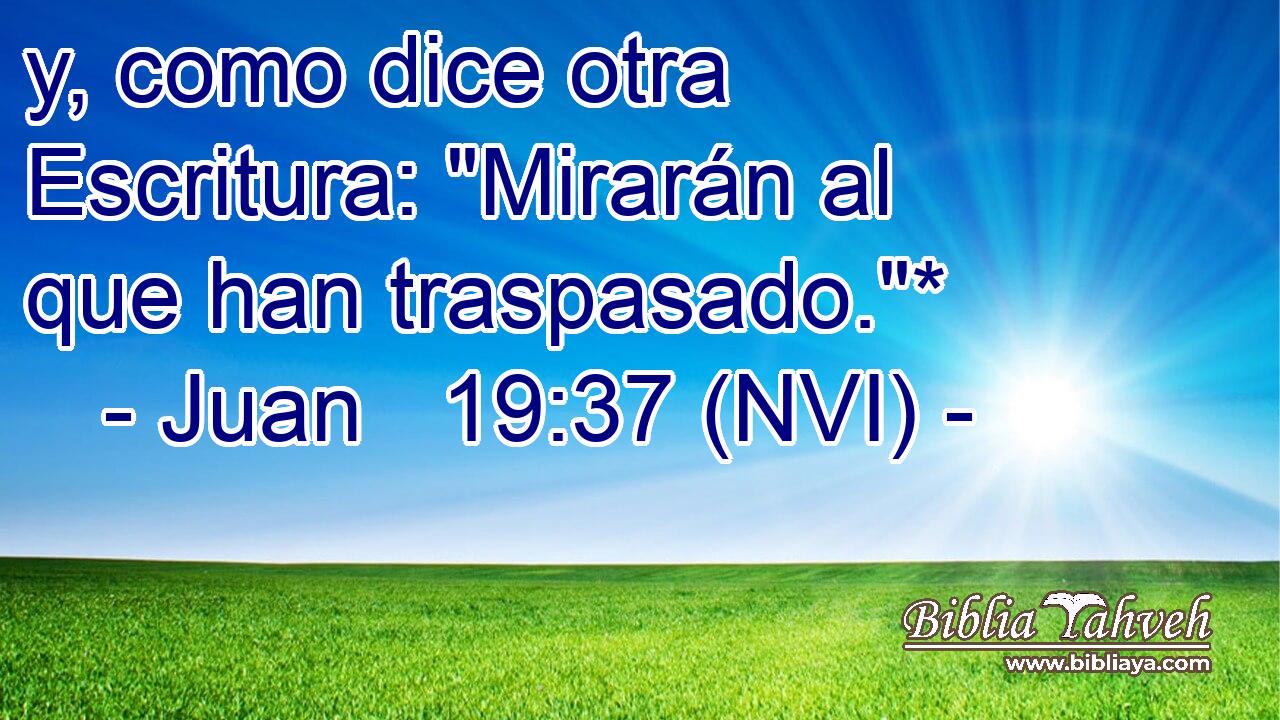  y, como dice otra Escritura: 