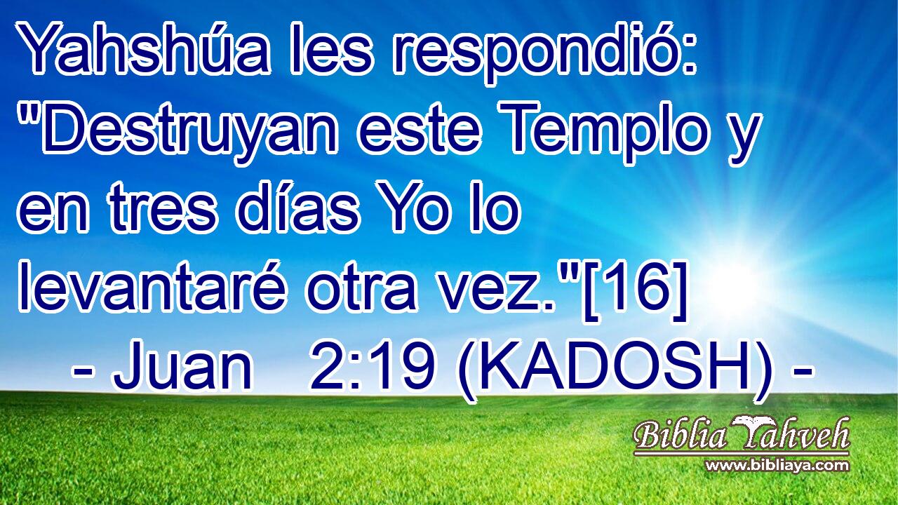  Yahshúa les respondió: 