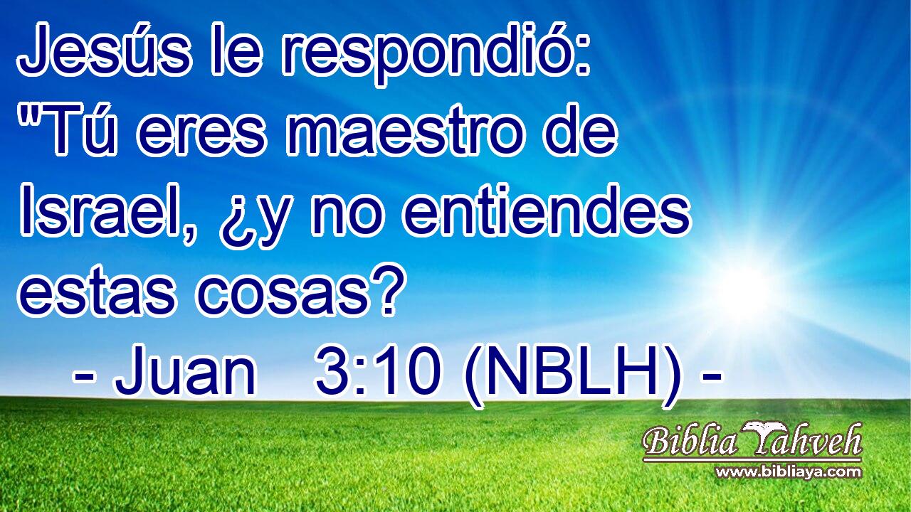  Jesús le respondió: 